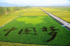 中国一乡一品标准研讨会在北京召开