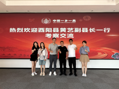 酉阳县黄艺副县长一行到访中国民贸一乡一品产业促进中心考察交流