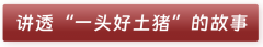 板腊31：讲透“一头好土猪”的故事